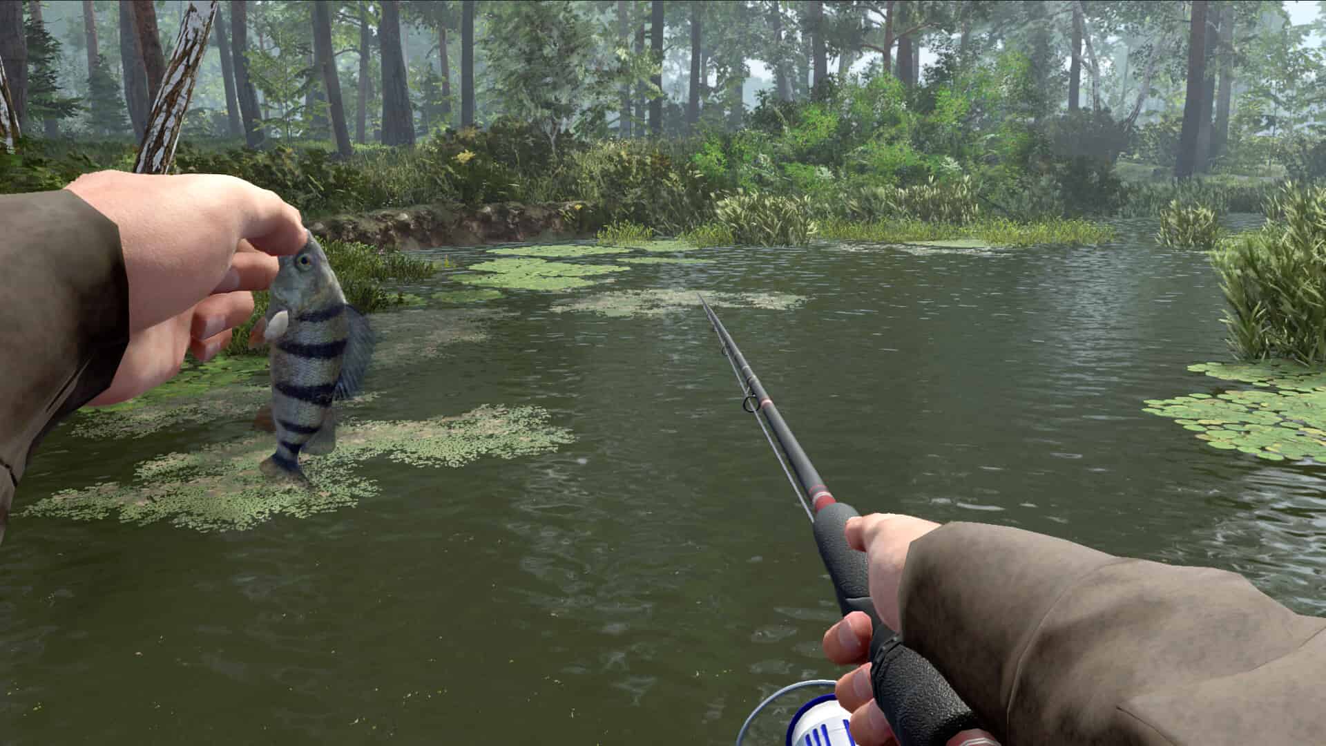 专业钓鱼2(Professional Fishing 2)