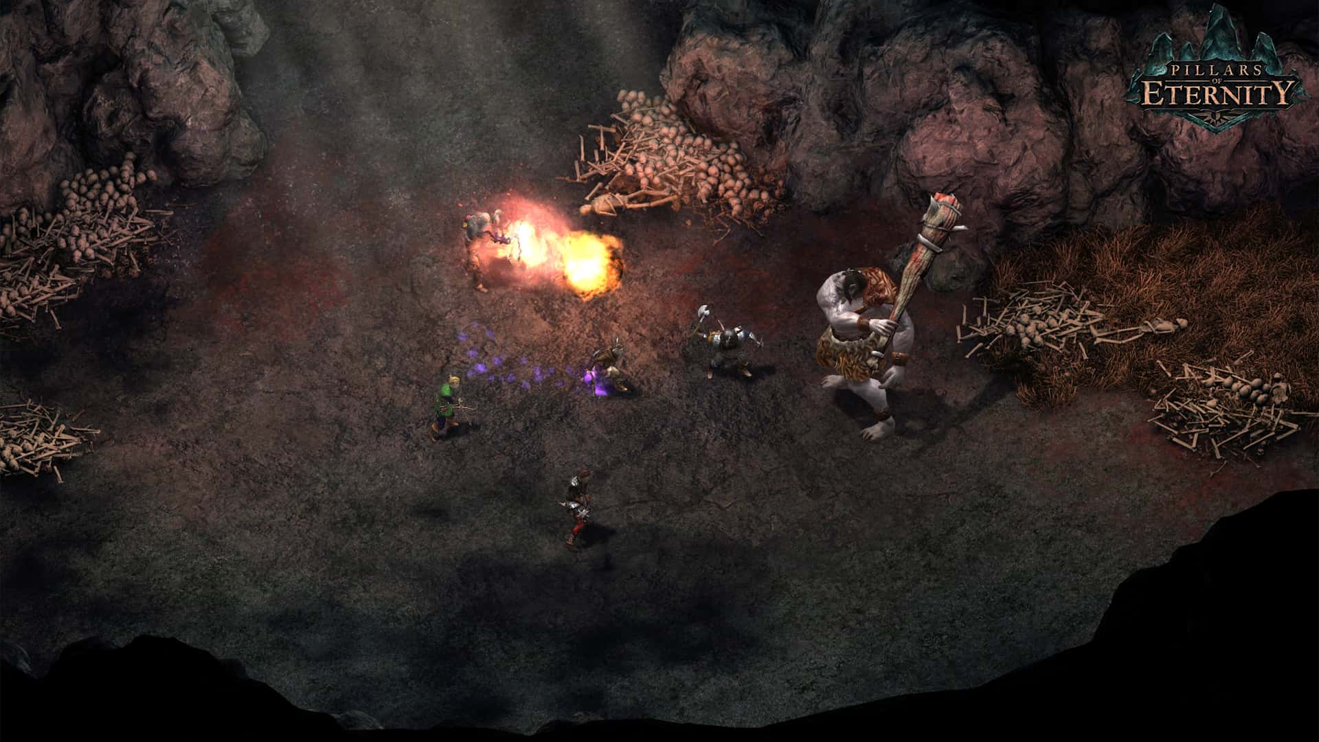 永恒之柱(Pillars of Eternity)