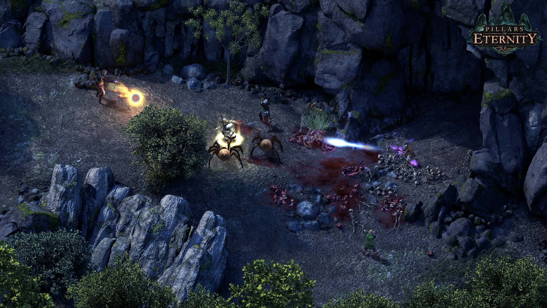 永恒之柱(Pillars of Eternity)