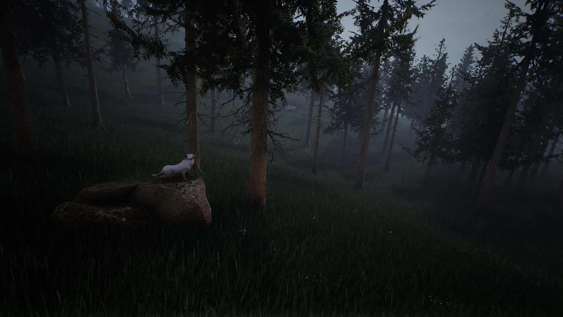 生存主义:动物模拟(Survivalizm - The Animal Simulator)