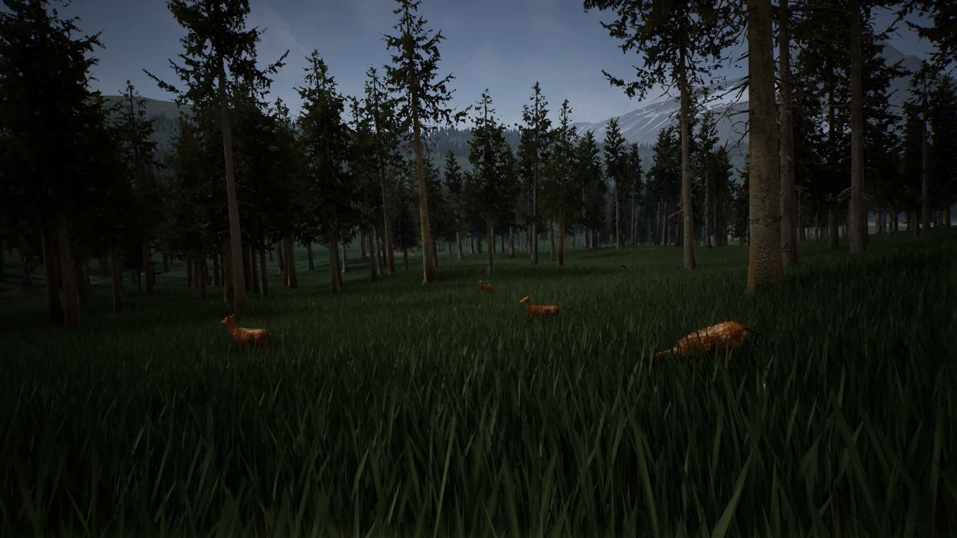 生存主义:动物模拟(Survivalizm - The Animal Simulator)
