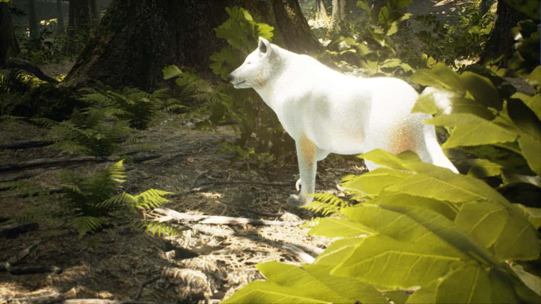 生存主义:动物模拟(Survivalizm - The Animal Simulator)