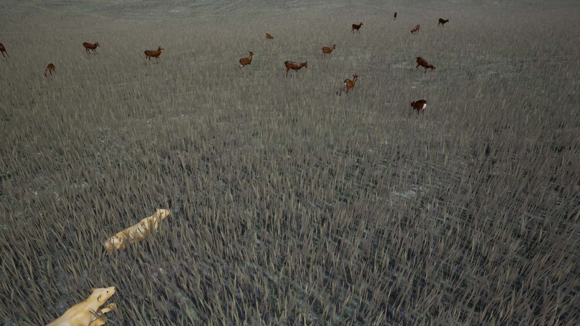 生存主义:动物模拟(Survivalizm - The Animal Simulator)