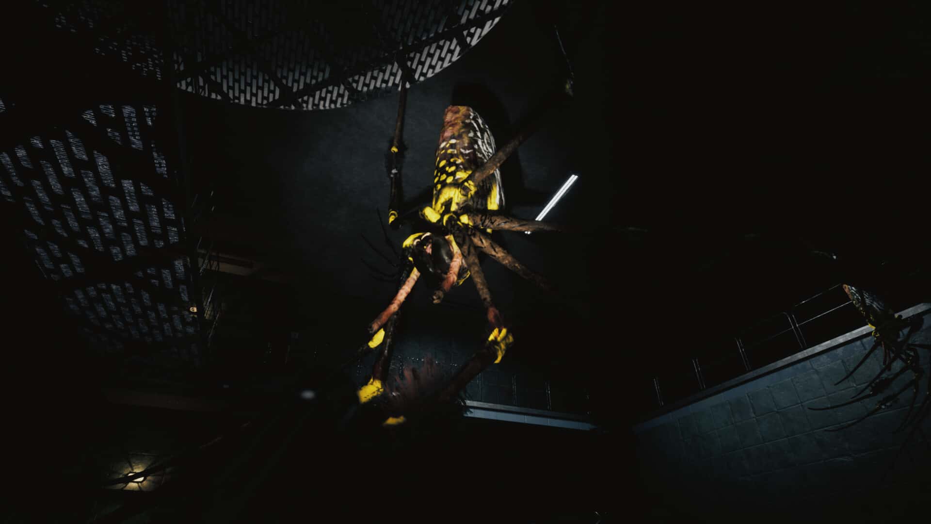 巨蛛猎手(Huntsman)
