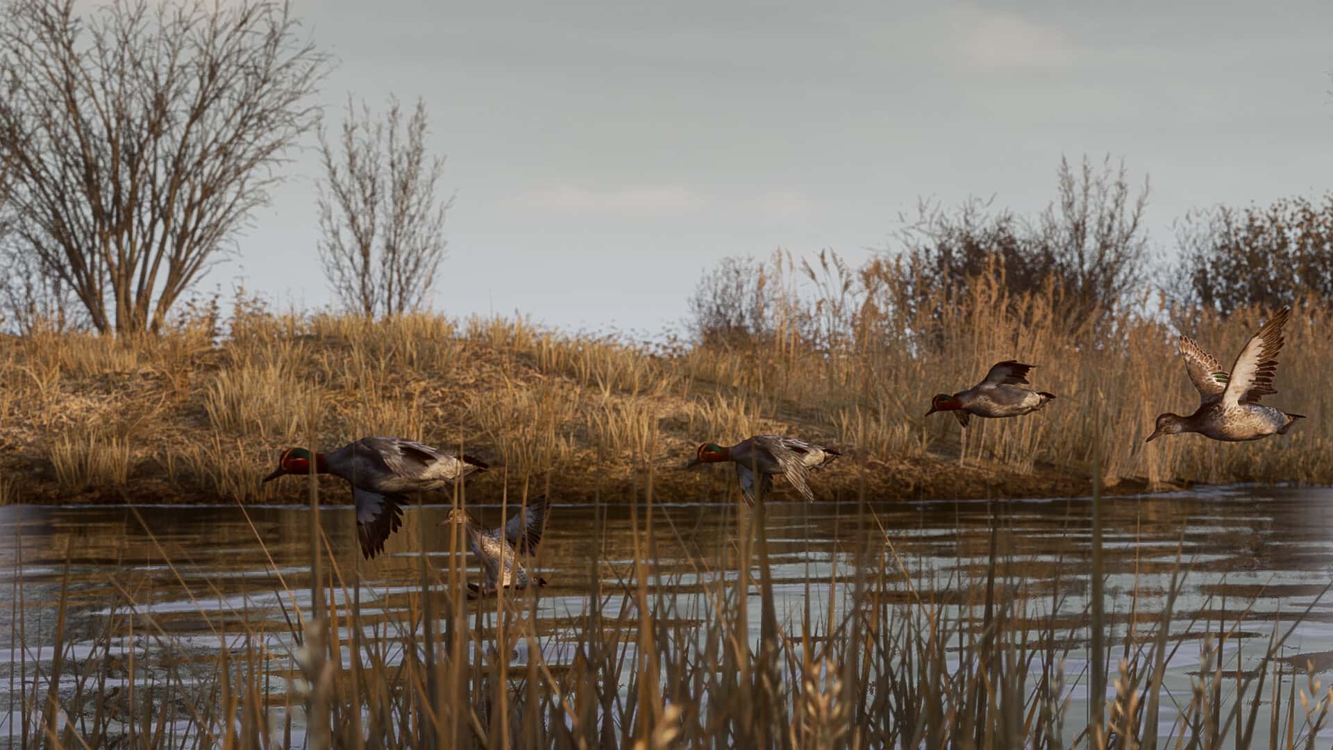 BULT: Hunting simulator