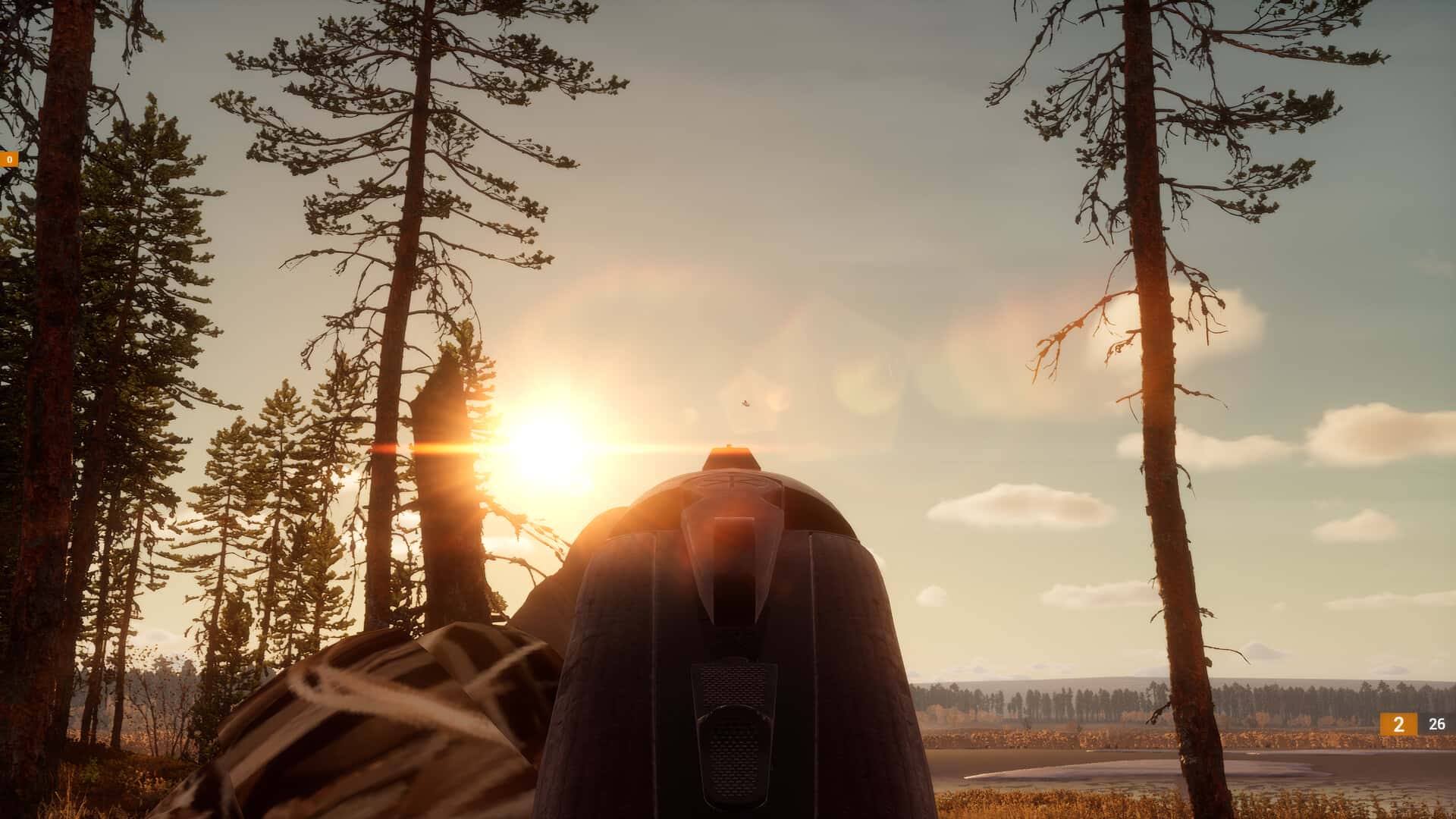 BULT: Hunting simulator