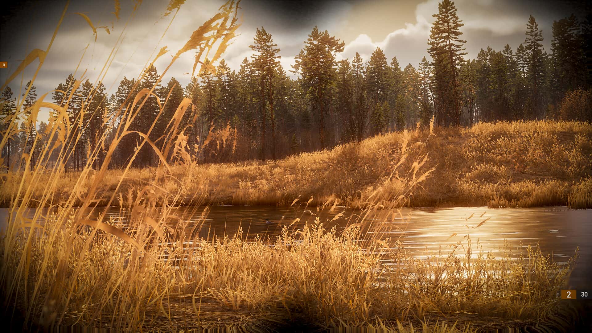 BULT: Hunting simulator