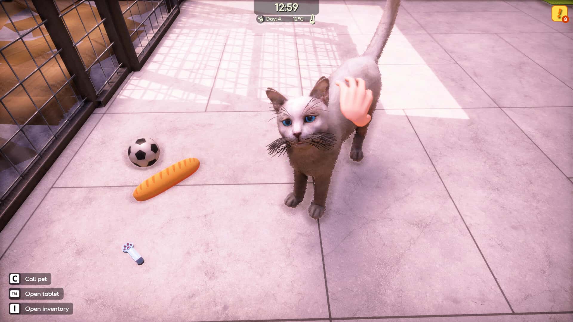 动物收容所2(Animal Shelter 2)