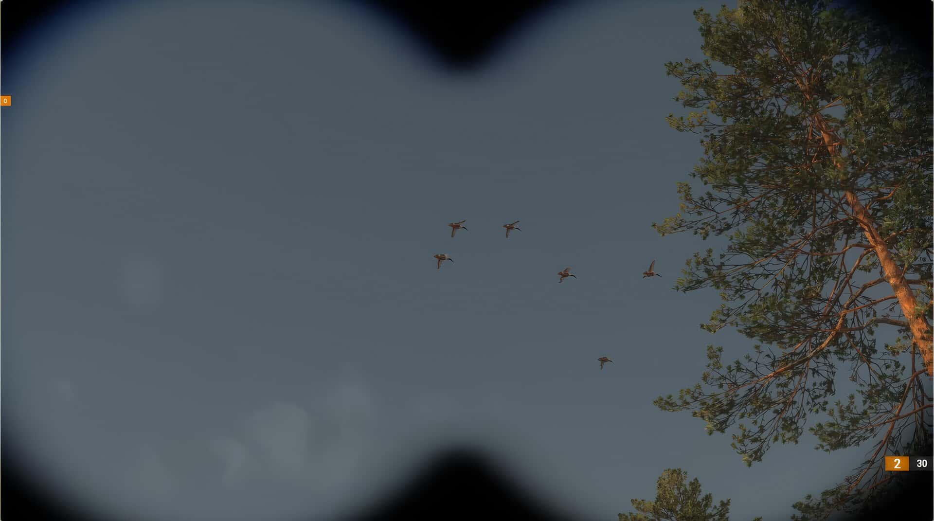 BULT: Hunting simulator