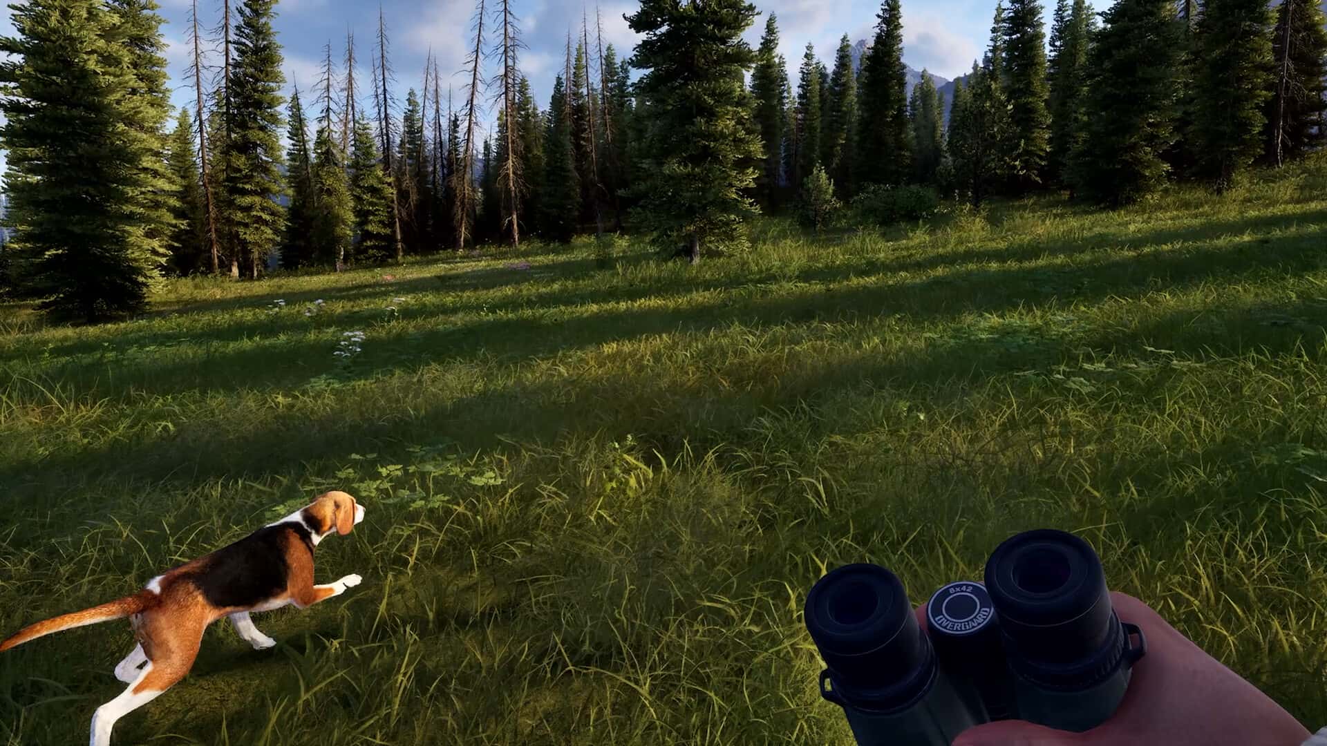 猎人之路2(Way of the Hunter 2)